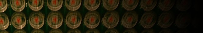 Blurry beer bottle caps arranged in rows